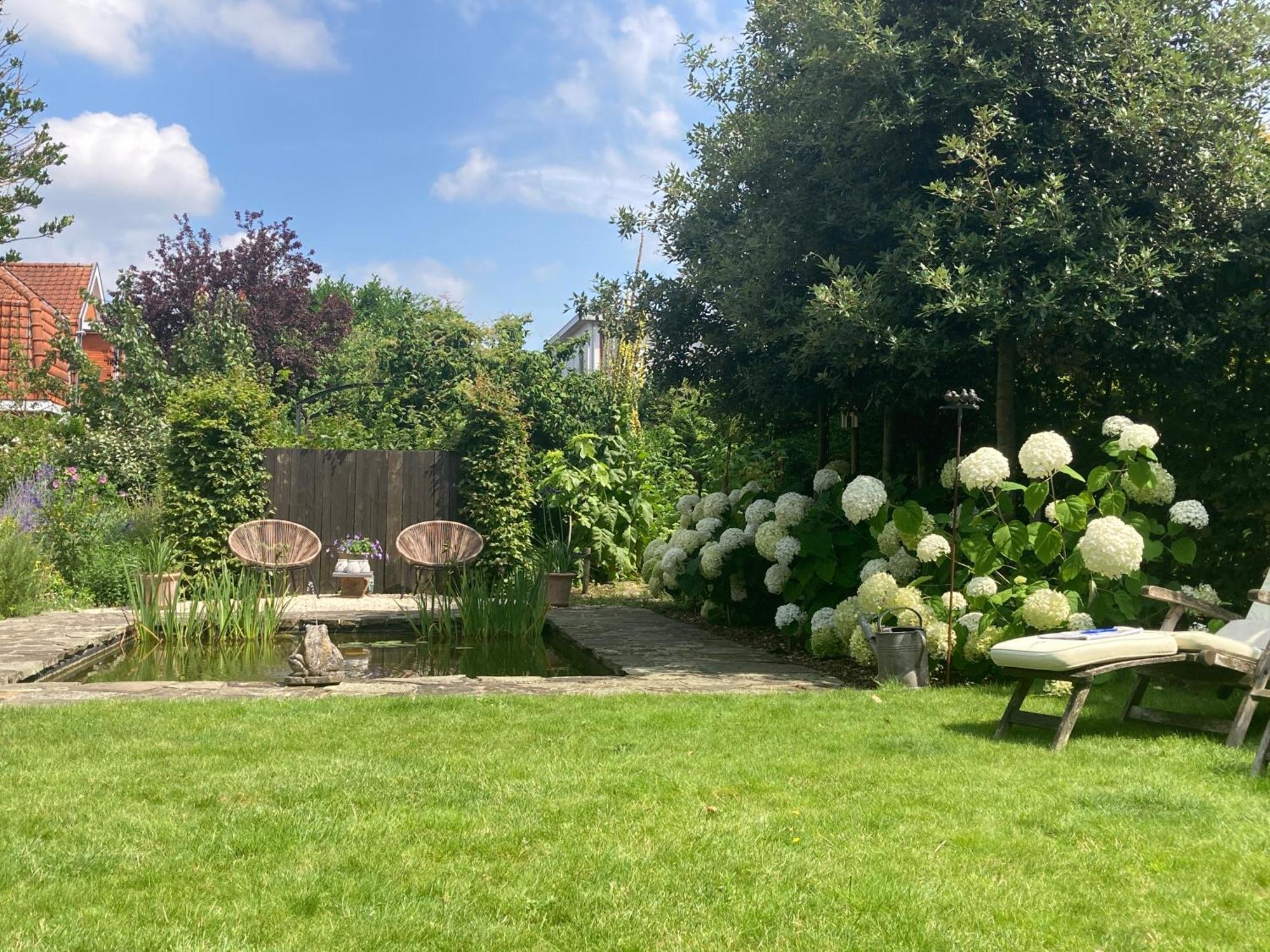 Tree & B Bed and Breakfast Brugge Buitenkant foto